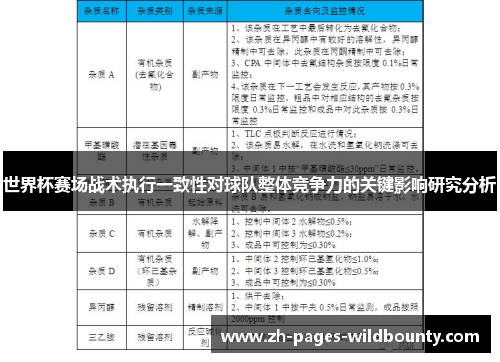 世界杯赛场战术执行一致性对球队整体竞争力的关键影响研究分析