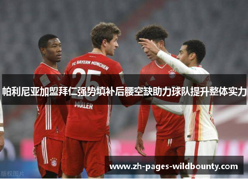 帕利尼亚加盟拜仁强势填补后腰空缺助力球队提升整体实力
